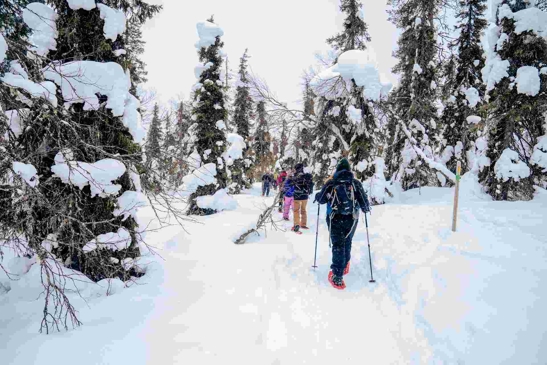 Finnish Wilderness Week