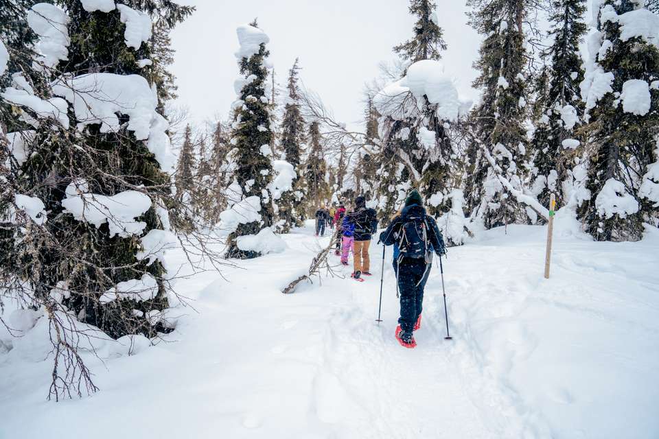 Finnish Wilderness Week - Exodus Adventure Travels - Finland - Image 1