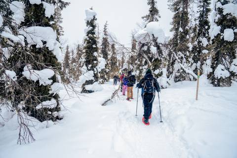 Europe Experienced Travelers Trips: Finnish Wilderness Week