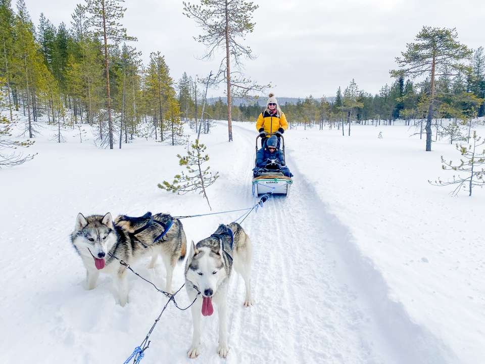 Finnish Wilderness Week - Exodus Adventure Travels - Finland - Image 23