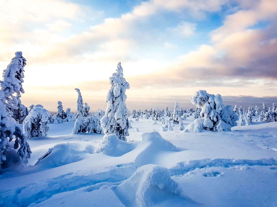 Finnish Wilderness Week - Exodus Adventure Travels - Finland - Image 19
