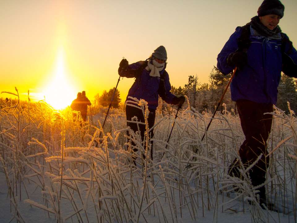 Finnish Wilderness Week - Exodus Adventure Travels - Finland - Image 17