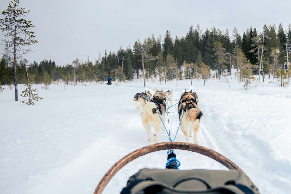 Finnish Wilderness Week - Exodus Adventure Travels - Finland - Image 12