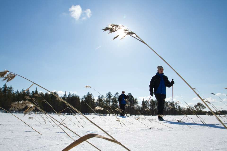 Finnish Wilderness Week - Exodus Adventure Travels - Finland - Image 7