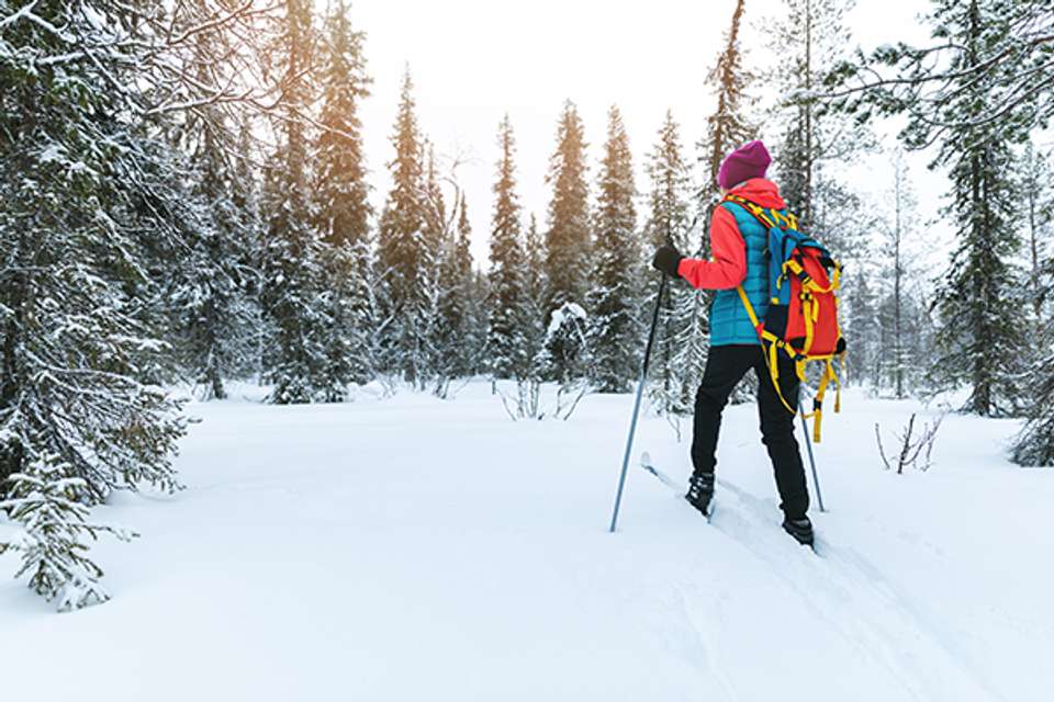 Finnish Wilderness Week - Exodus Adventure Travels - Finland - Image 3