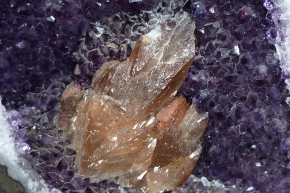 Image 4 of 5