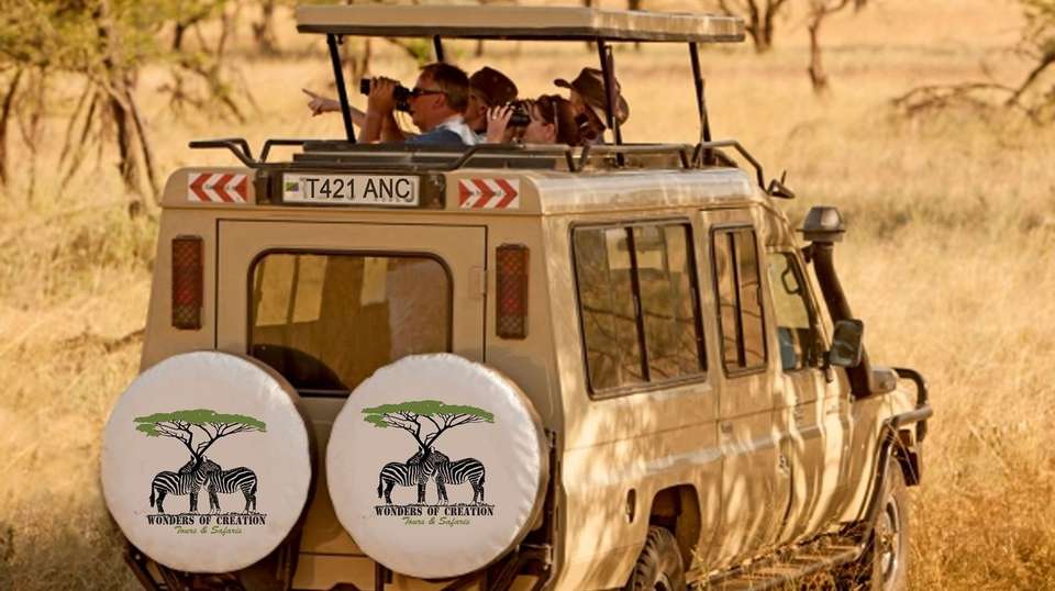Five Days in Tanzania: Group Safari - Wonders Of Creation Tours And Safaris - Tanzania - Image 2