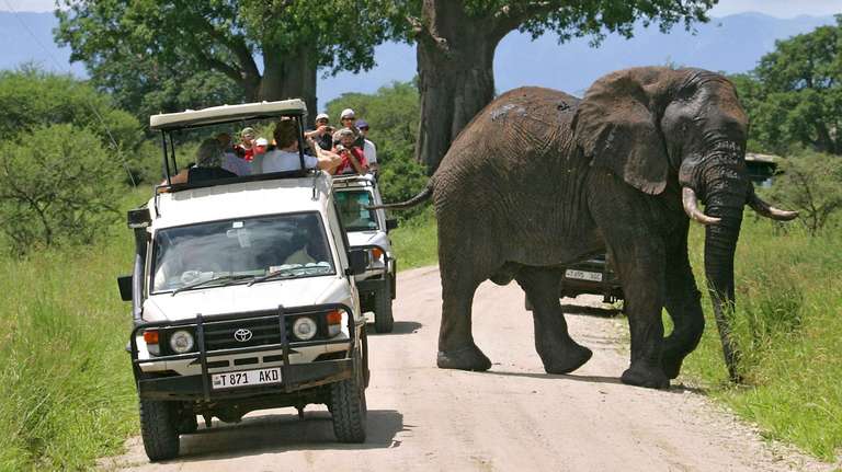 Five Days in Tanzania: Group Safari trip - alternative tour available