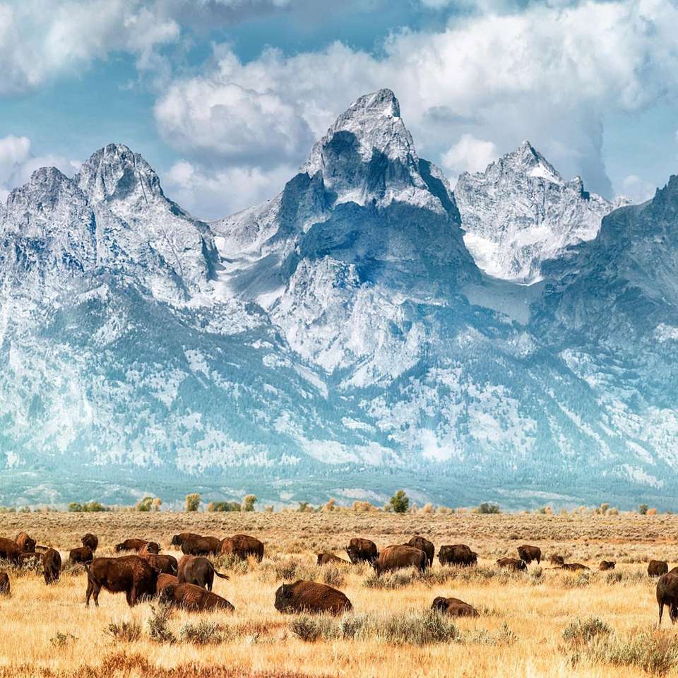 Five Epic National Parks - Trafalgar - USA - Image 6