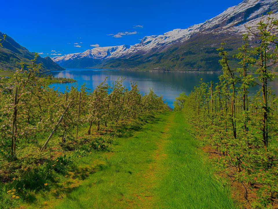 Fjords, Cruise & Coast - 9 days - On The Go Tours - Norway - Image 6