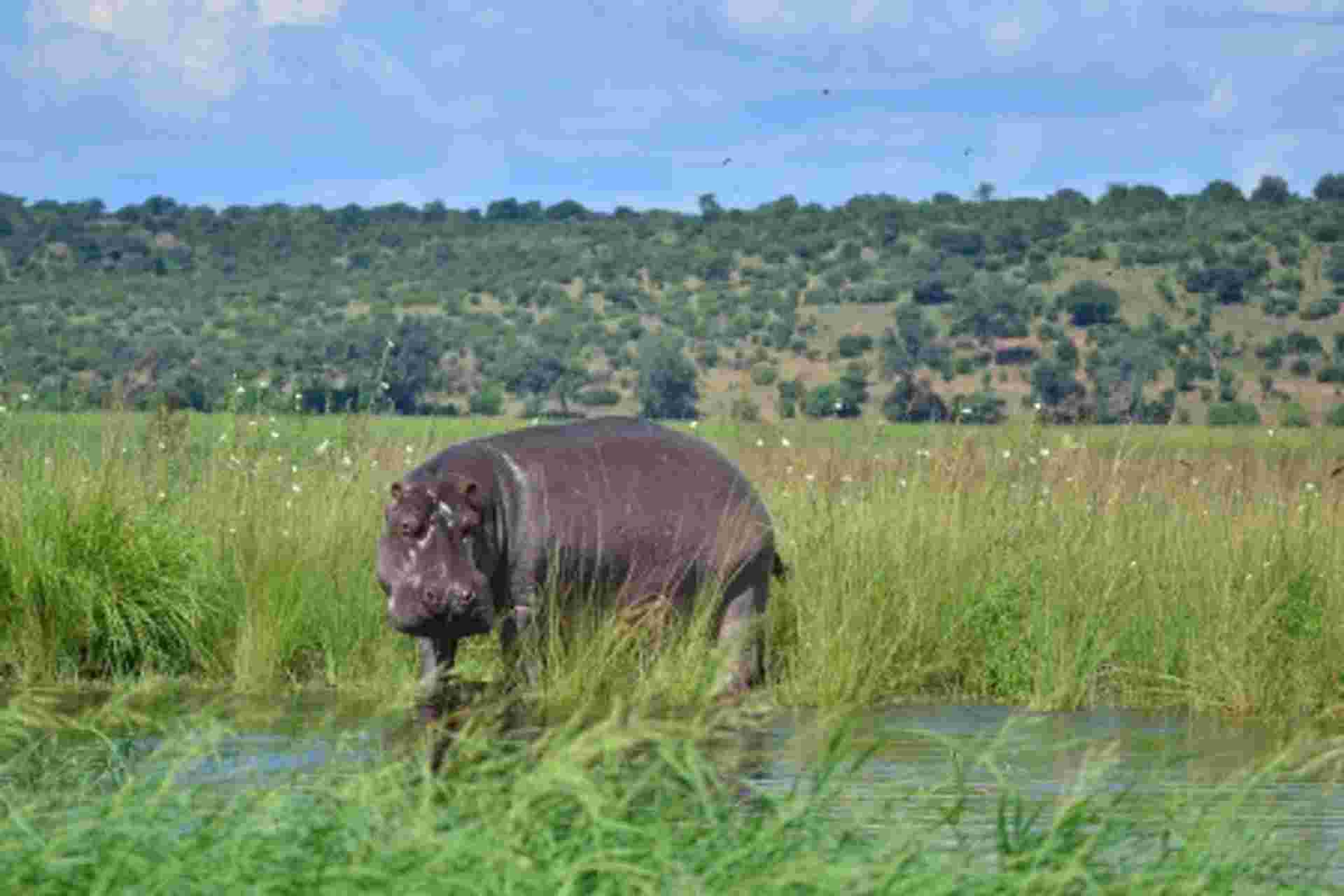 Flame of Southern Africa: A Luxury Cruise, Rail, and Tour Journey of a Lifetime