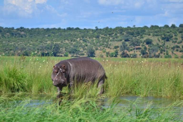 Botswana Tailor-made Vacation Packages: Flame of Southern Africa: A Luxury Cruise, Rail, and Tour Journey of a Lifetime