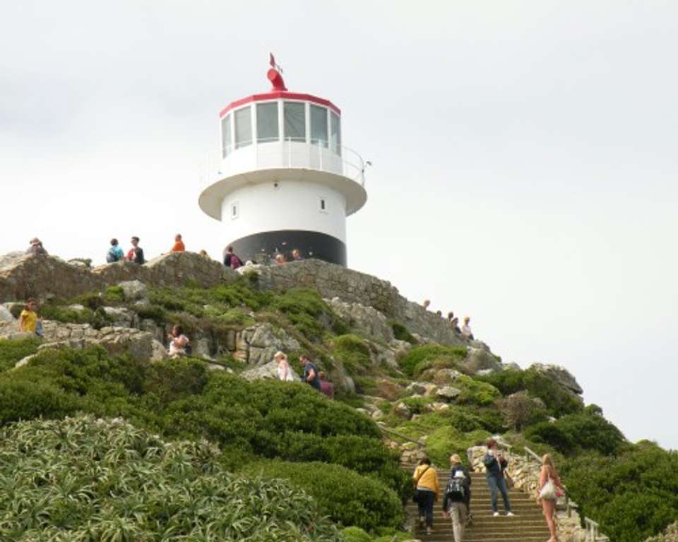 Flame of Southern Africa: A Luxury Cruise, Rail, and Tour Journey of a Lifetime - Tweet World Travel - South Africa - Image 10