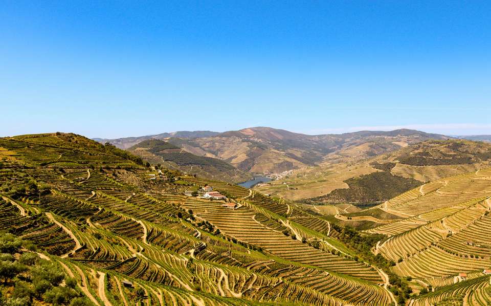 Flavors of Portugal & Spain featuring the Douro and Rioja Wine Regions - Collette Tours - Portugal - Image 3