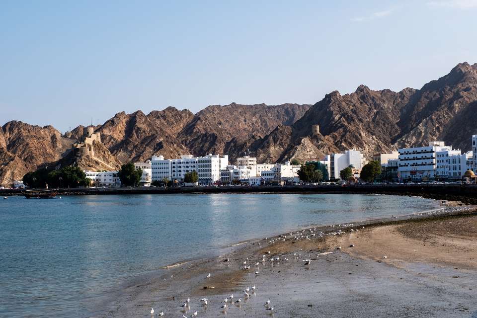 Flavours Of Oman - undefined - Image 4
