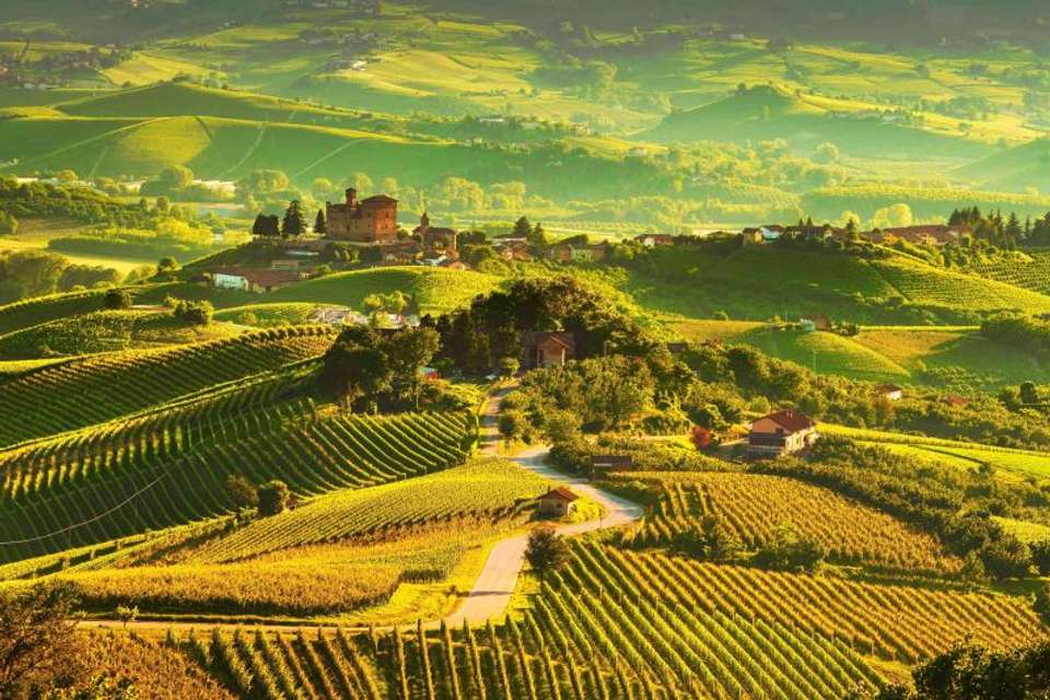 Flavours of Tuscany - undefined - Image 5