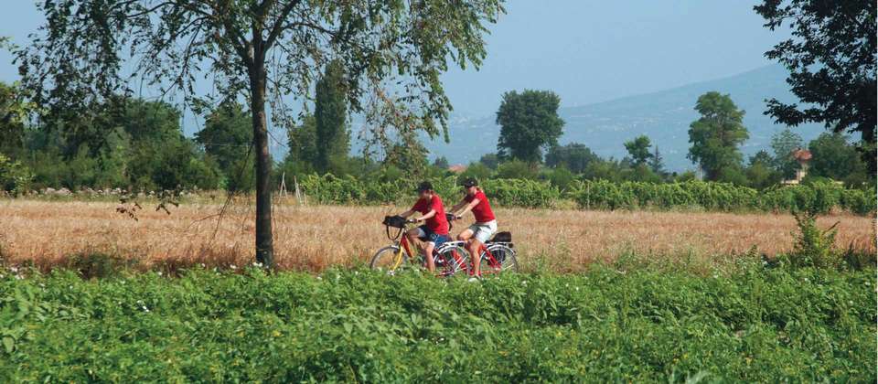 Florence to Rome by Bike - Utracks - Italy - Image 5
