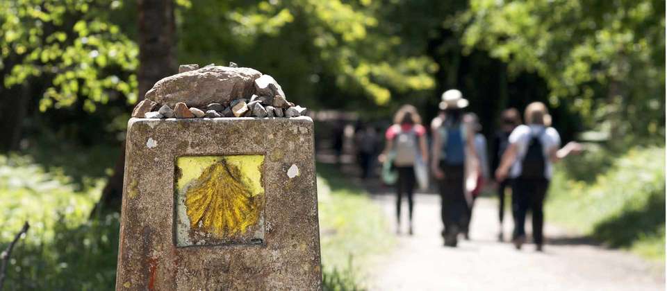 Food Lover's Spanish Camino - Utracks - Spain - Image 2