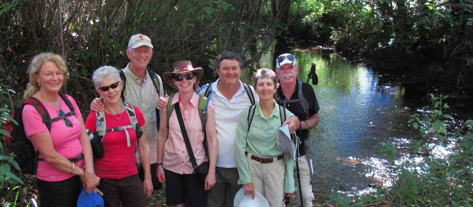 Food Lover's Spanish Camino - Utracks - Spain - Image 6