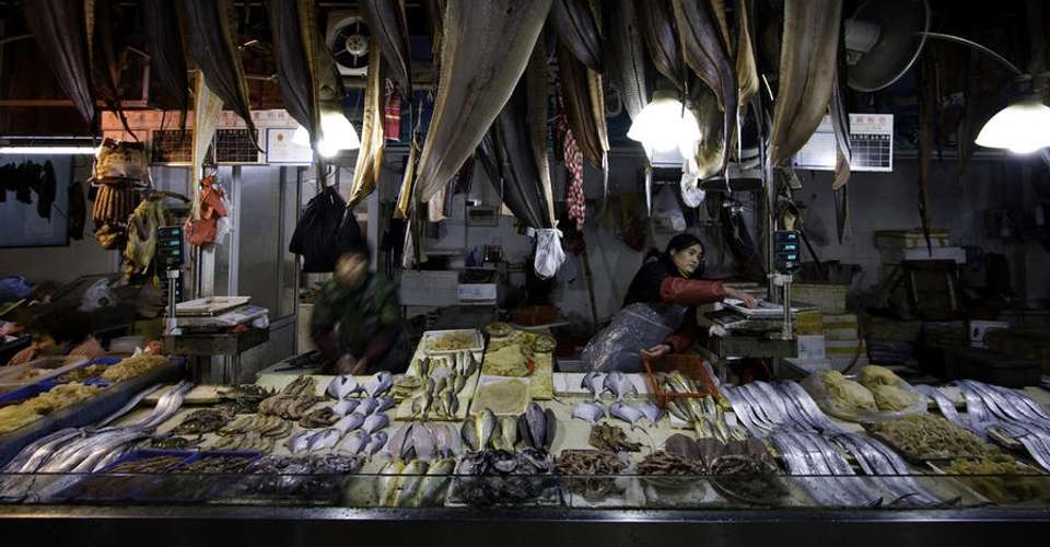 Food Market & Chinese Diet Tour - Shanghai Pathways - China - Image 2