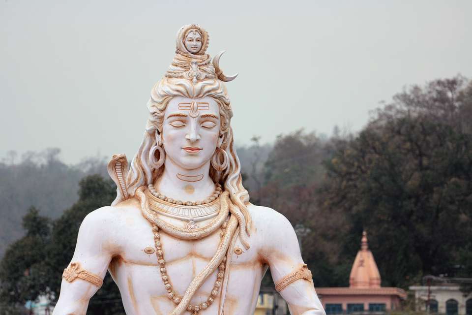 Foothills of the Himalaya - Exodus Adventure Travels - India - Image 22