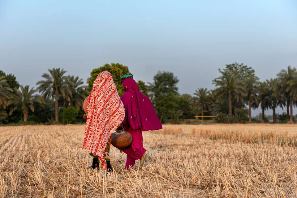 Foothills of the Himalaya - Exodus Adventure Travels - India - Image 16