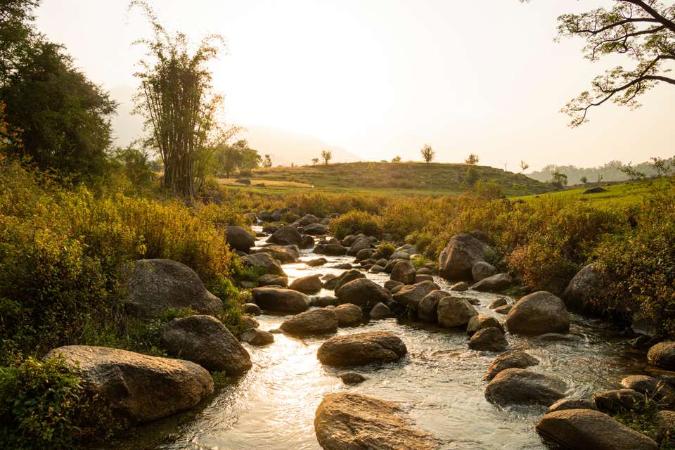 Foothills of the Himalaya - Exodus Adventure Travels - India - Image 11