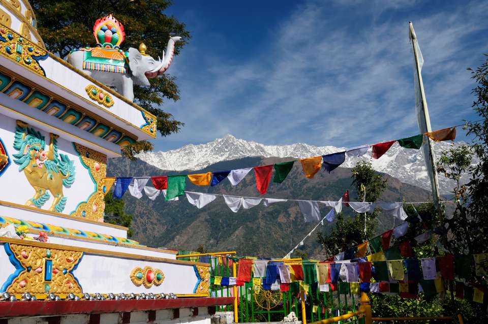 Foothills of the Himalaya - Exodus Adventure Travels - India - Image 9