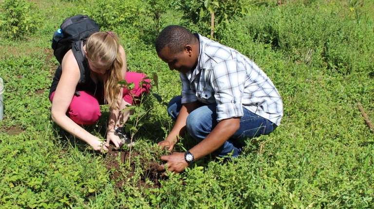 Forest Nature Walks trip - alternative tour available