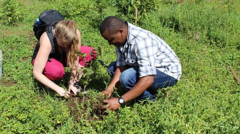 Forest Nature Walks - April 2027