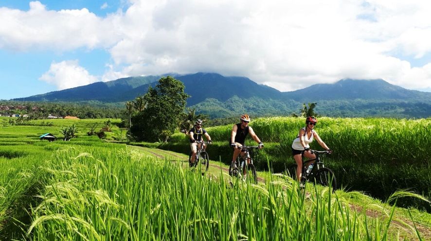 TOP TOURS