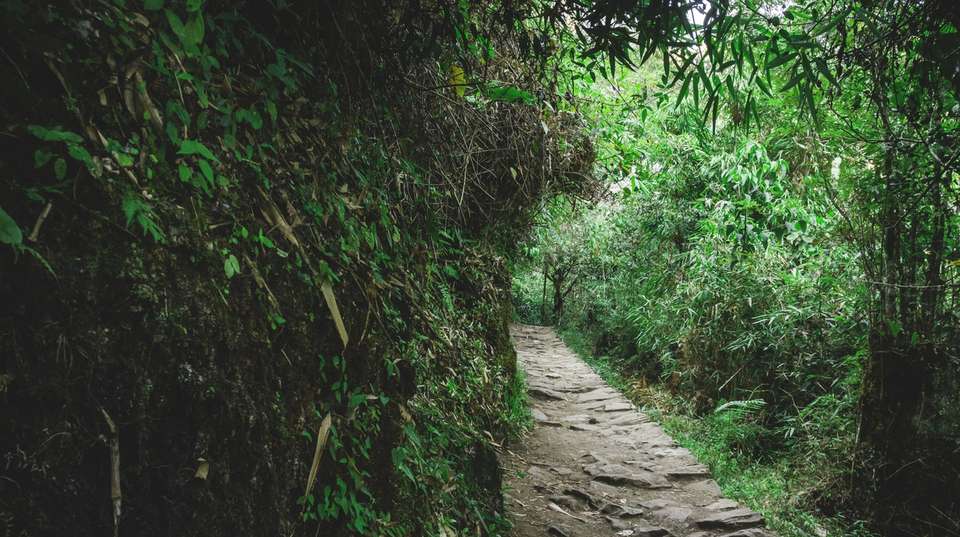 Four-day Hidden Inca Trail to Machu Picchu - Inkayni Peru Tours - Peru - Image 3