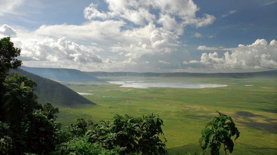 Four-Day Safari: Serengeti, Tarangire and Ngorongoro - Kilisa Tours & Safaris - Tanzania - Image 2