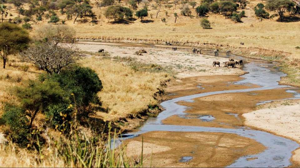Four-Day Safari: Serengeti, Tarangire and Ngorongoro - Kilisa Tours & Safaris - Tanzania - Image 3