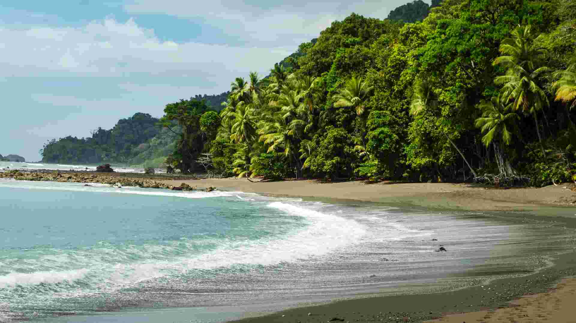Four Days in Osa Peninsula: Corcovado National Park