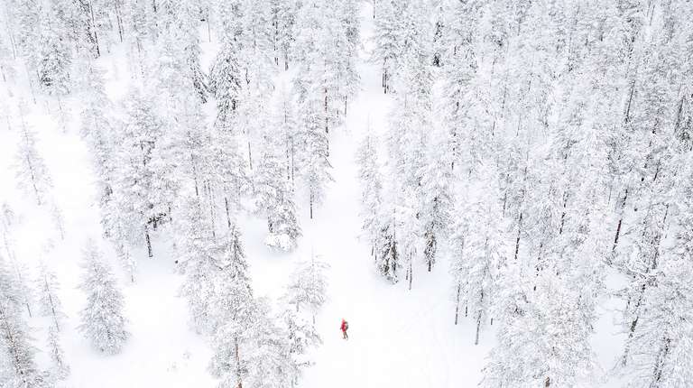 Four White Days in Lapland trip - alternative tour available