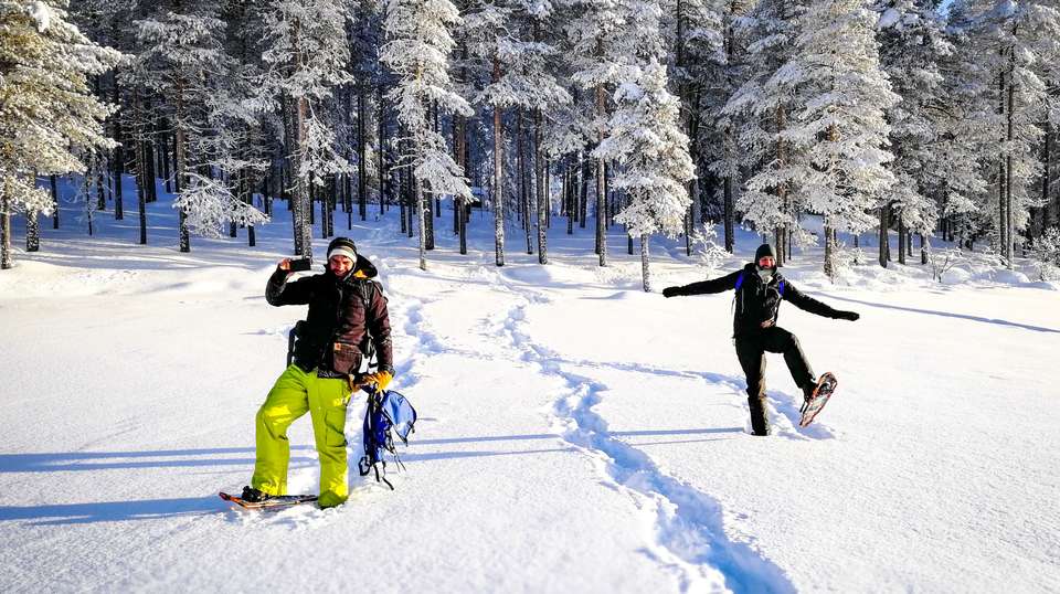 Four White Days in Lapland - undefined - Image 8