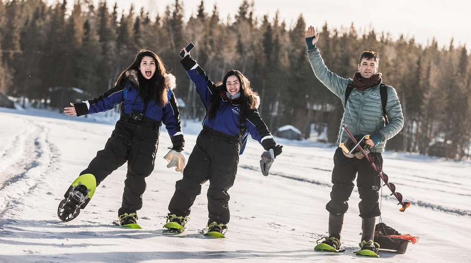 Four White Days in Lapland - undefined - Image 9