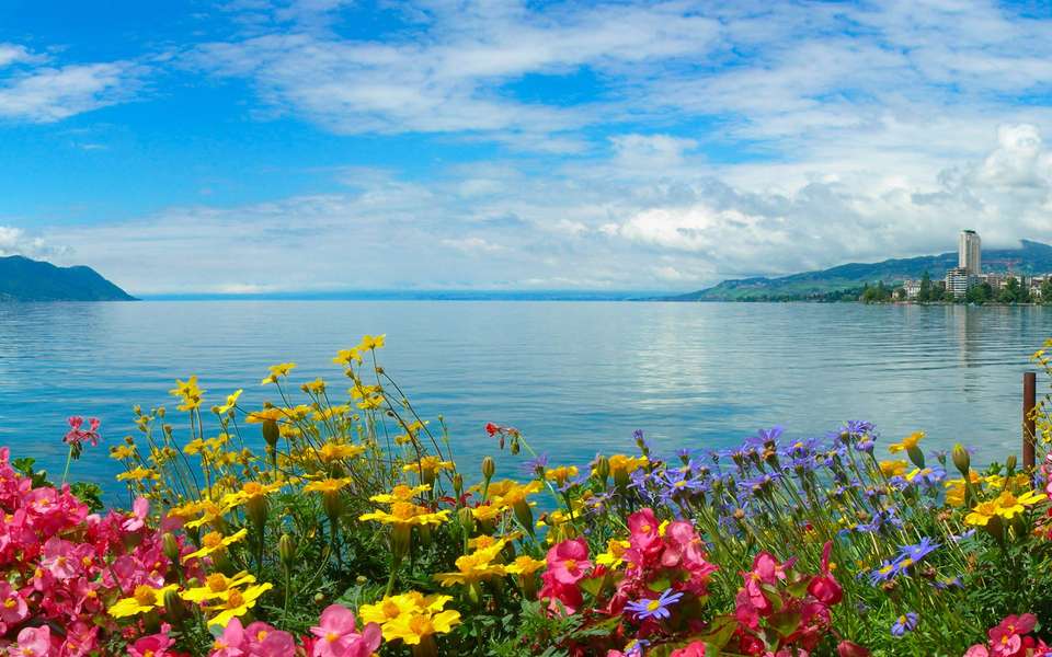 France and Switzerland - Europamundo - France - Image 7