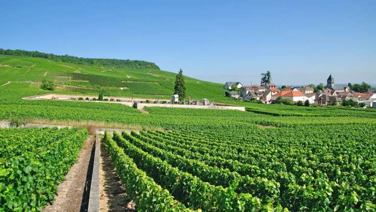 France at its Finest from the Champagne Region to Paris (port-to-port cruise) trip - alternative tour available