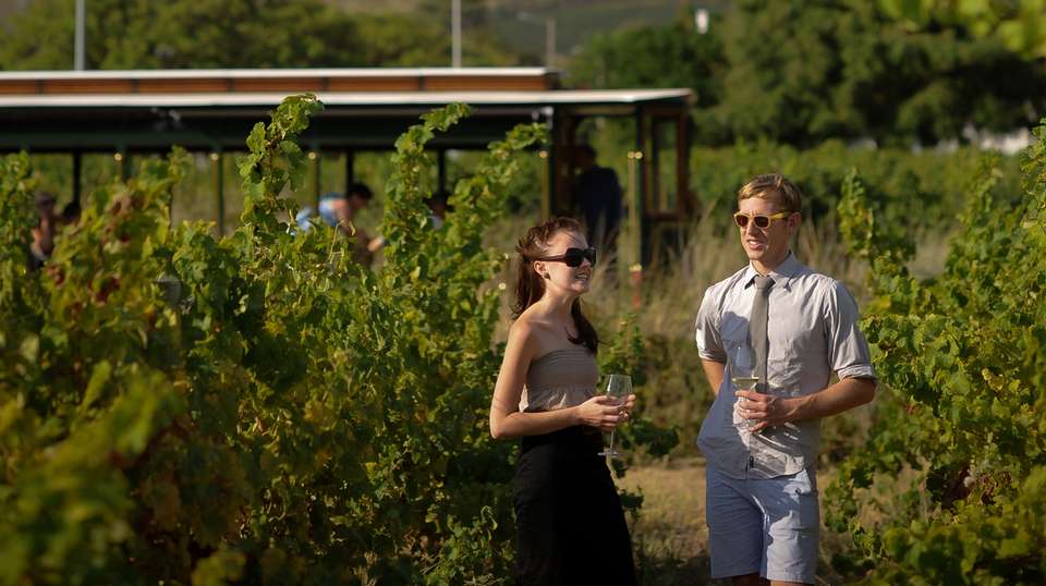 Franschhoek Wine Tram Experience - undefined - Image 2