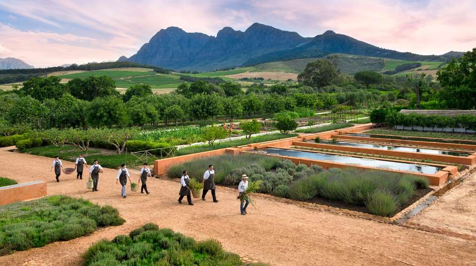 Franschhoek Wine Tram Experience - undefined - Image 8