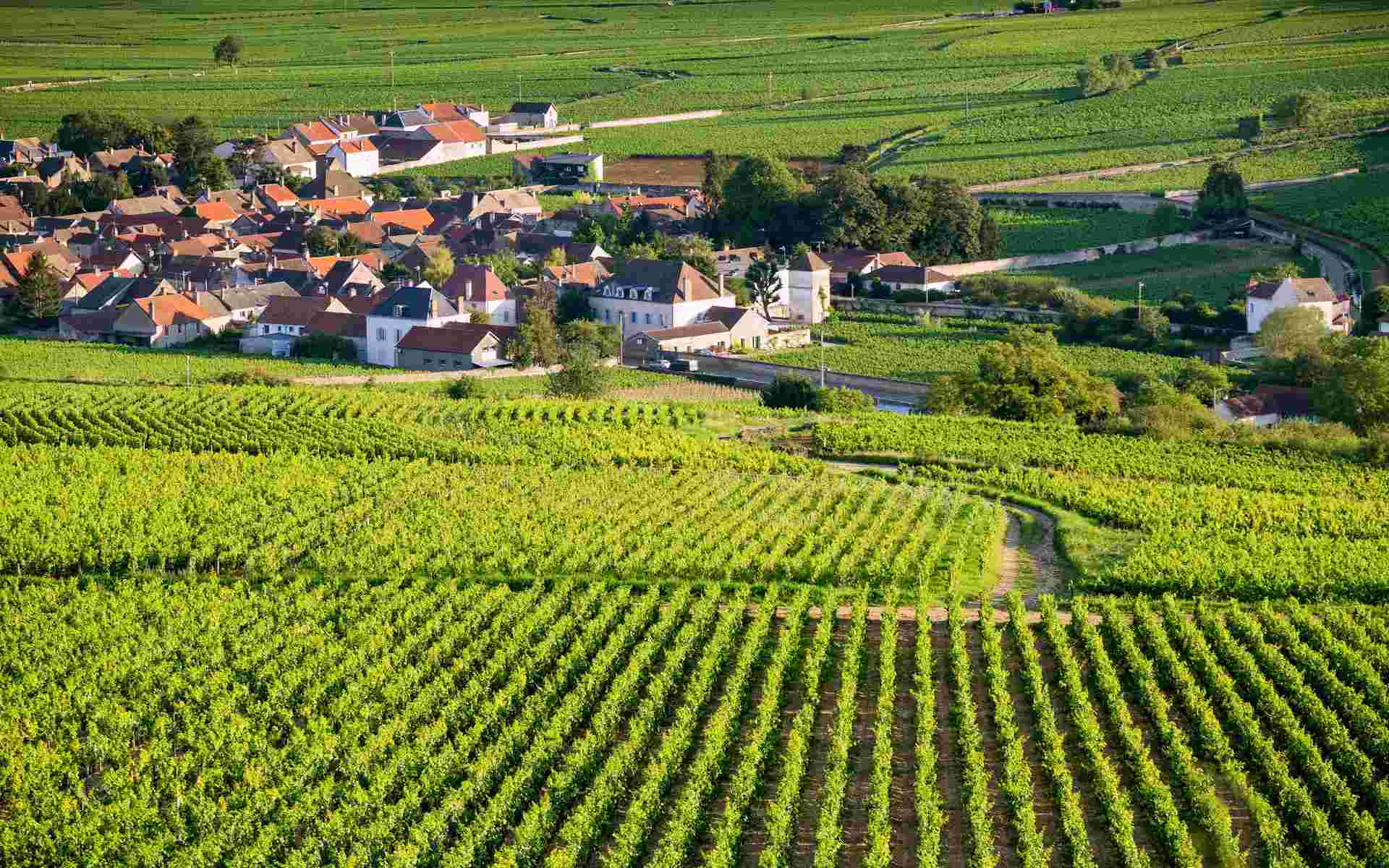 French and Swiss Spirit