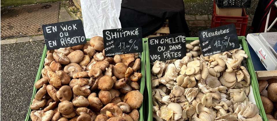 French Food Lover's Le Puy Camino - Utracks - France