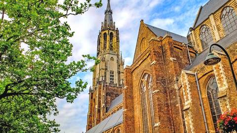 Holland Eco Tours: From Amsterdam: Guided Tour Rotterdam, Delft & The Hague