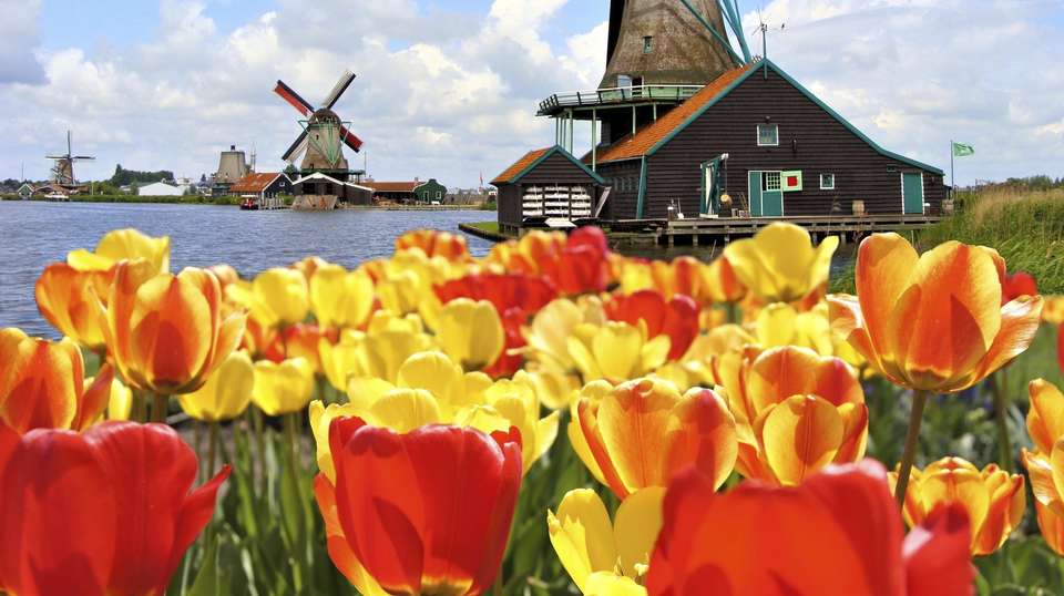 From Amsterdam: Live guided Keukenhof & Zaanse Schans - undefined - Image 2