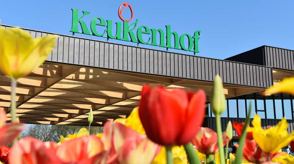 From Amsterdam: Live guided Keukenhof & Zaanse Schans - undefined - Image 4