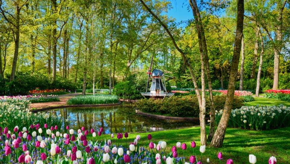 From Amsterdam to the Iron Gates, experience it all on a European river cruise (port-to-port cruise) - Croisieurope - Holland - Image 24