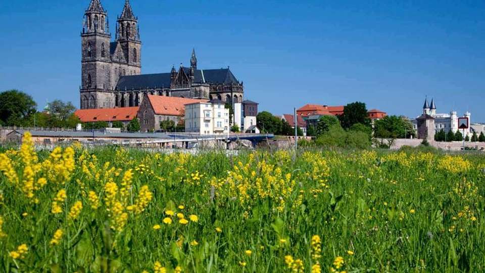 From Berlin to Amsterdam (port-to-port cruise) - Tweet World Travel - Germany - Image 4