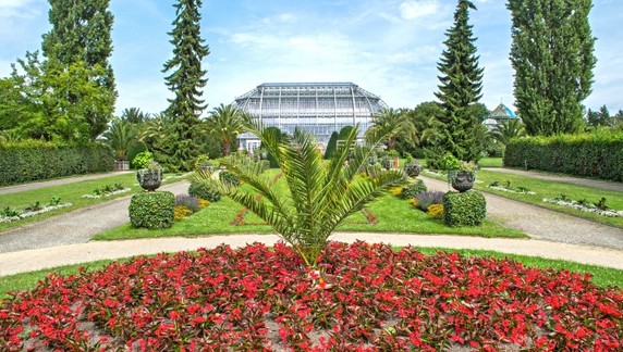 Image 2 of 12